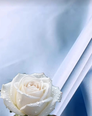 95% 폴리에스터 5% 스판덱스 광택