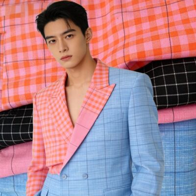 유니폼용 70% 폴리에스터 27% 레이온 3% 스판덱스 175gsm 선염 체크 수팅 원단
